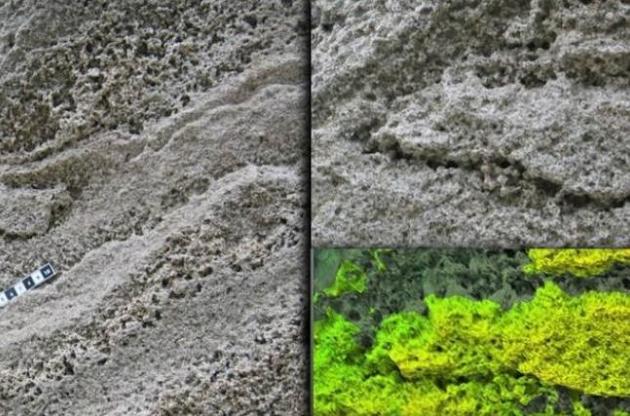 След был оставлен в песке, который затем затвердел