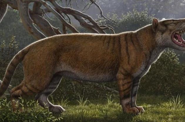 Палеонтологи описали новый вид древних гигантских хищников