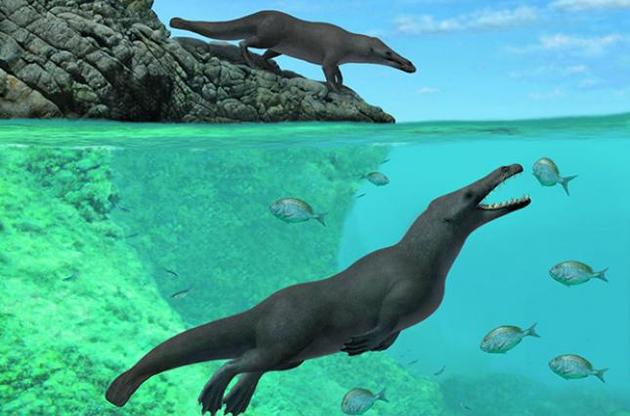 В Перу найдены останки древнего четвероногого кита