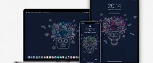 Отказ от iTunes, iOS 13 и новая iPadOS: о чем Apple рассказала на презентации