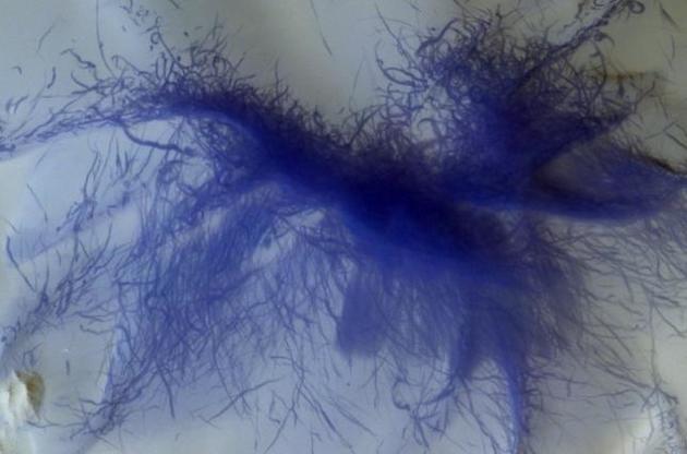 Астрономы получили снимок "синей" пылевой структуры на Марсе