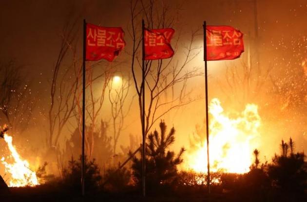 Пожар разгорелся накануне поздно вечером в горном курорте Гоесоне