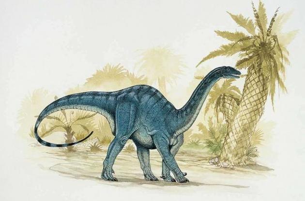 Некоторые динозавры переходили от ходьбы на четырех лапах к двум в течение жизни