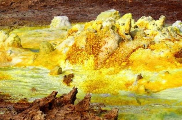 Мікроорганізмам вдалося вижити в одному з найбільш небезпечних місць планети