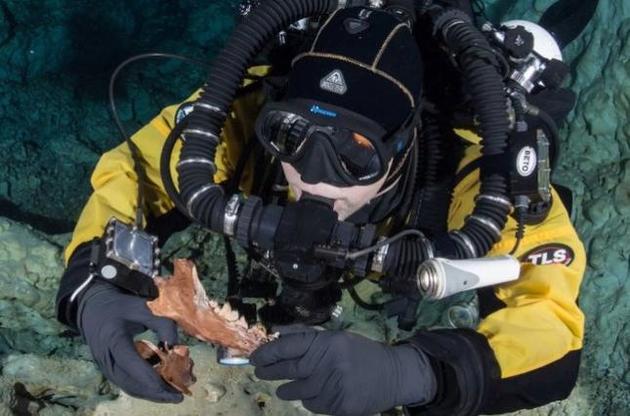 Ученые обнаружили в подводных пещерах Мексики останки гигантских медведей и волков
