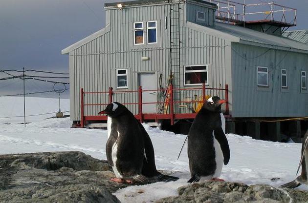 На рік до пінгвінів