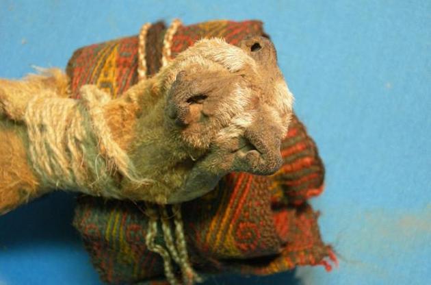 В сумке древнего шамана из Анд нашли большое количество наркотиков
