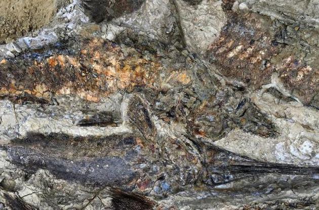 Ученые связали древнее "поле смерти" в США с падением убившего динозавров астероида