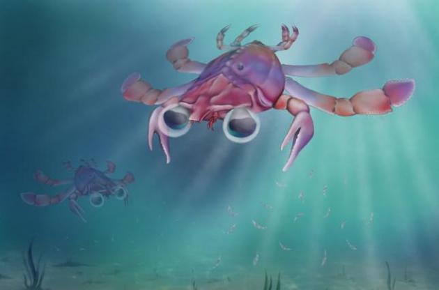 Краб мешкав на Землі близько 90 мільйонів років тому