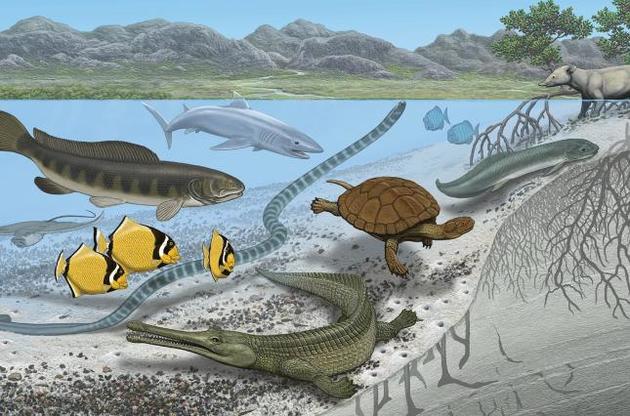 Морські істоти жили у Сахарі 50-100 мільйонів років тому