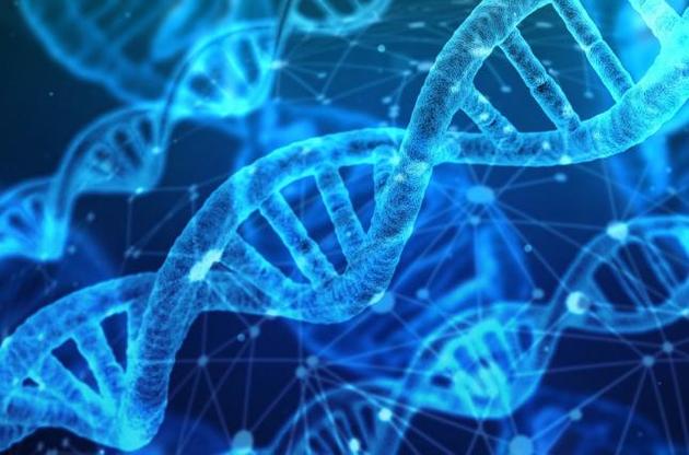 Мутация в гене может сократить жизнь близнецов