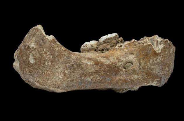 Вчені вперше виявили останки денисівської людини за межами Денисової печери