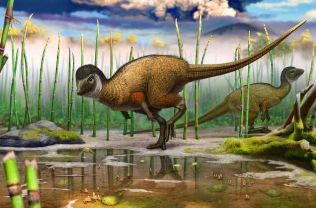 Изначально перья никак не были связаны с полетом