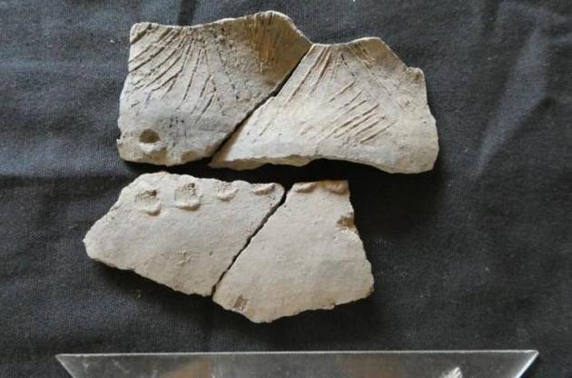 Археологи обнаружили в Эквадоре следы древней неизвестной цивилизации
