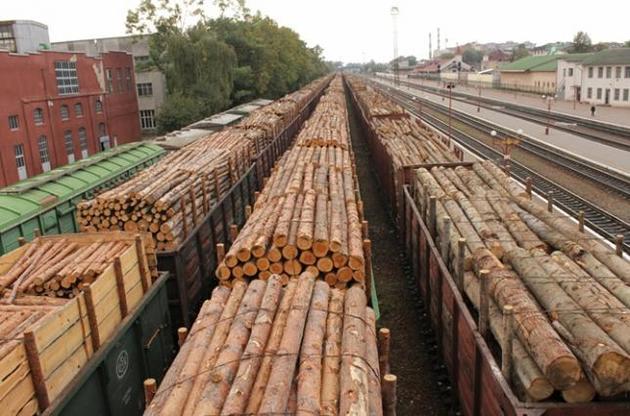 В офисе Зеленского хотят пересмотреть мораторий на экспорт леса из-за его неэффективности