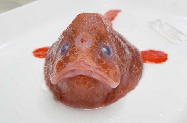 Ученые обнаружили рыбу, которая задерживает дыхание под водой
