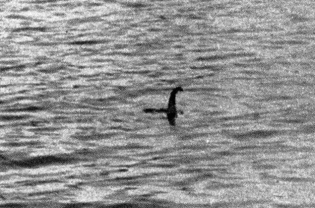 Искать чудовище собирается уже 18 тысяч человек