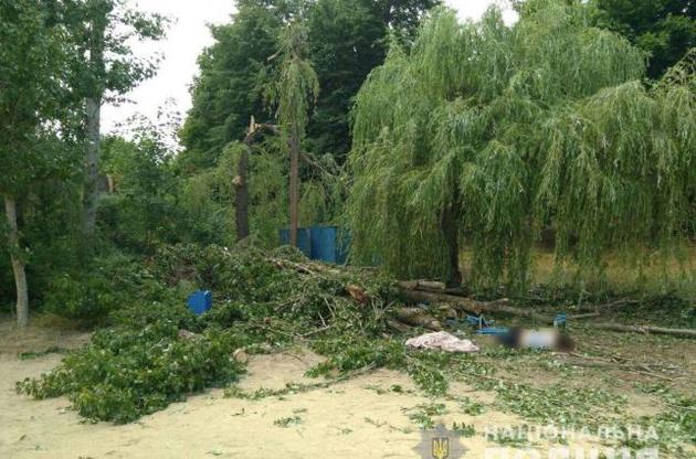На Харьковщине в результате падения дерева погибли две женщины