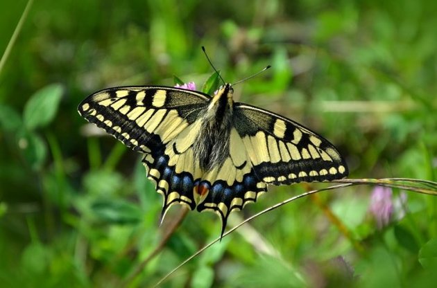 З вівторка стане прохолодніше