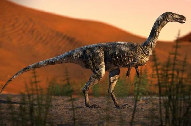 Палеонтологи описали новый вид небольшого хищного динозавра