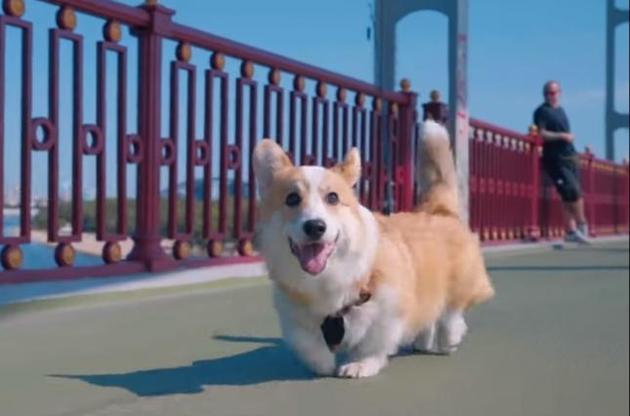 Ллойд провел экскурсию по основным туристическим локациям в Киеве