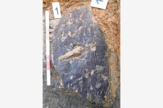 Археологи обнаружили в Англии щит железного века