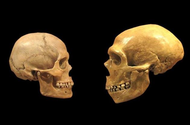 Вчені знайшли найдавніші останки людини за межами Африки