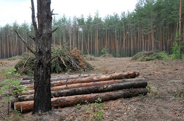 Зеленский обязал Кабмин ввести электронный учет древесины