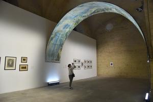 Зникла натура