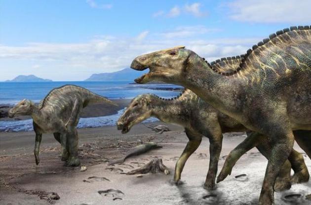 Палеонтологи обнаружили в Японии окаменелости "божественного ящера"