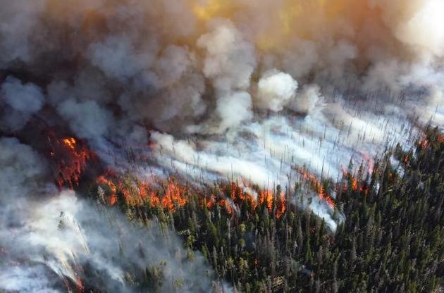 В России подсчитали сумму ущерба от лесных пожаров