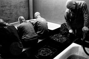 "Життя, смерть, любов та інші неминучі обставини"