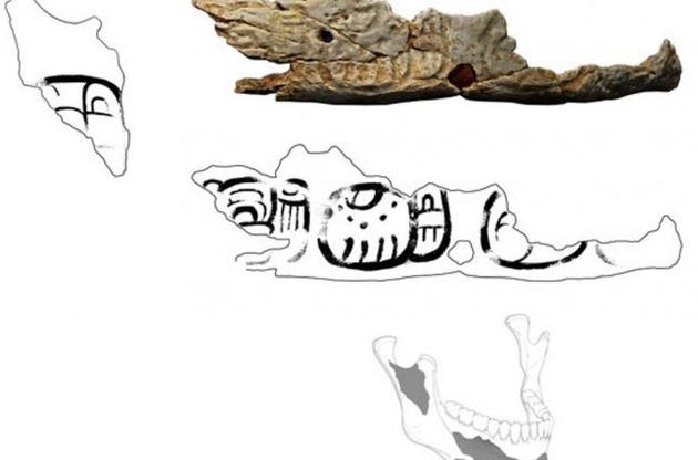 Ученые нашли трофейные черепа в могиле древнего воина