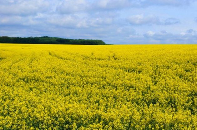В Украине вступил в силу новый закон об органической продукции