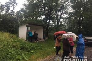 На Ивано-Франковщине молния убила сразу троих мужчин