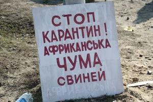 В Україні знищили 170 тисяч свиней — Держпродспоживслужба