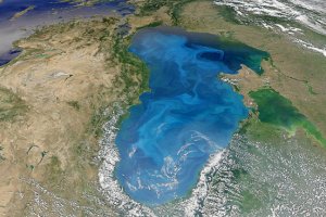 Черное море вдвое больше засорено, чем Средиземное — ЕС