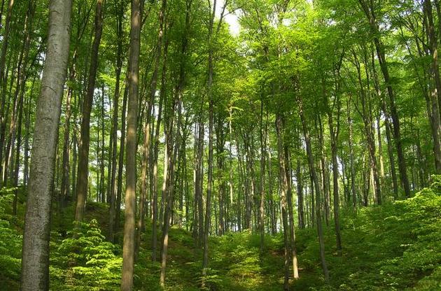 Nadano-administratsiyeyu-parku