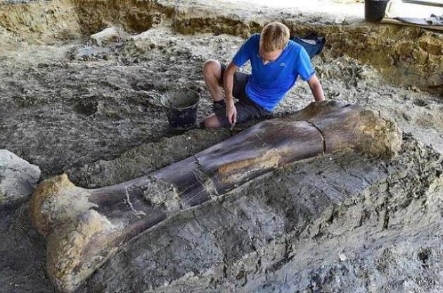 Во Франции найдена кость гигантского динозавра