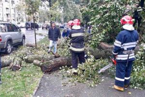 Непогода в Киеве: под поваленными деревьями оказались дороги и ЛЭП