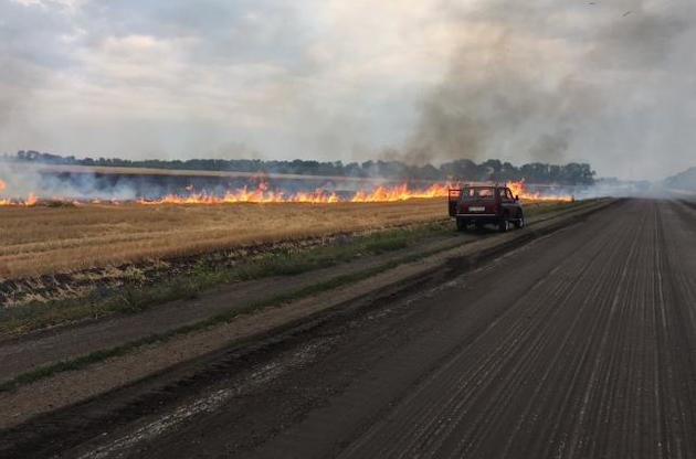В Киевской области сгорело 23 га пшеничного поля