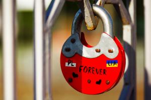 Історія на благо