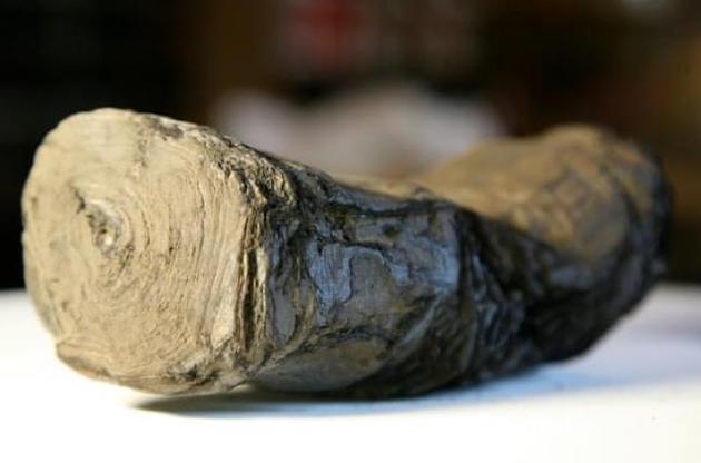 Ученые надеются прочитать свитки из города, который был уничтожен извержением Везувия