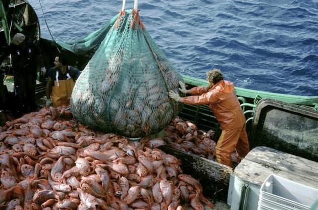 Держрибагентство запросило рибалок на промисел окуня