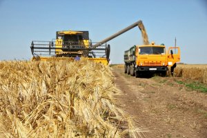 Україна посіла перше місце за темпами зростання імпорту в ЄС сільськогосподарської продукції