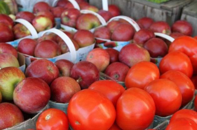 Украина не может продавать яблоки и томаты в ЕС