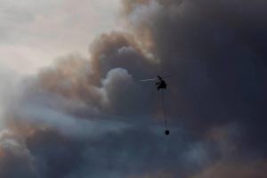 На Канарах объявили беспрецедентную экологическую катастрофу из-за лесных пожаров