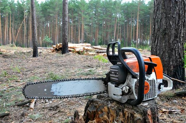 На эту же версию указывали и активисты сообщества "Кто заказал убийство Кати Гандзюк"