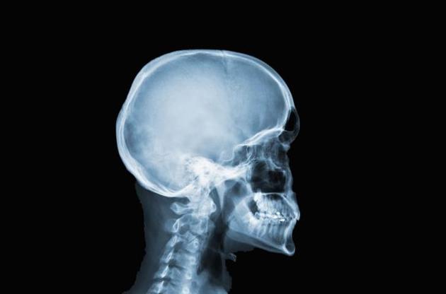 По мнению ученых, череп человека соответствует золотому сечению