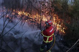 Страны G7 выделят Бразилии $ 22 млн на борьбу с лесными пожарами